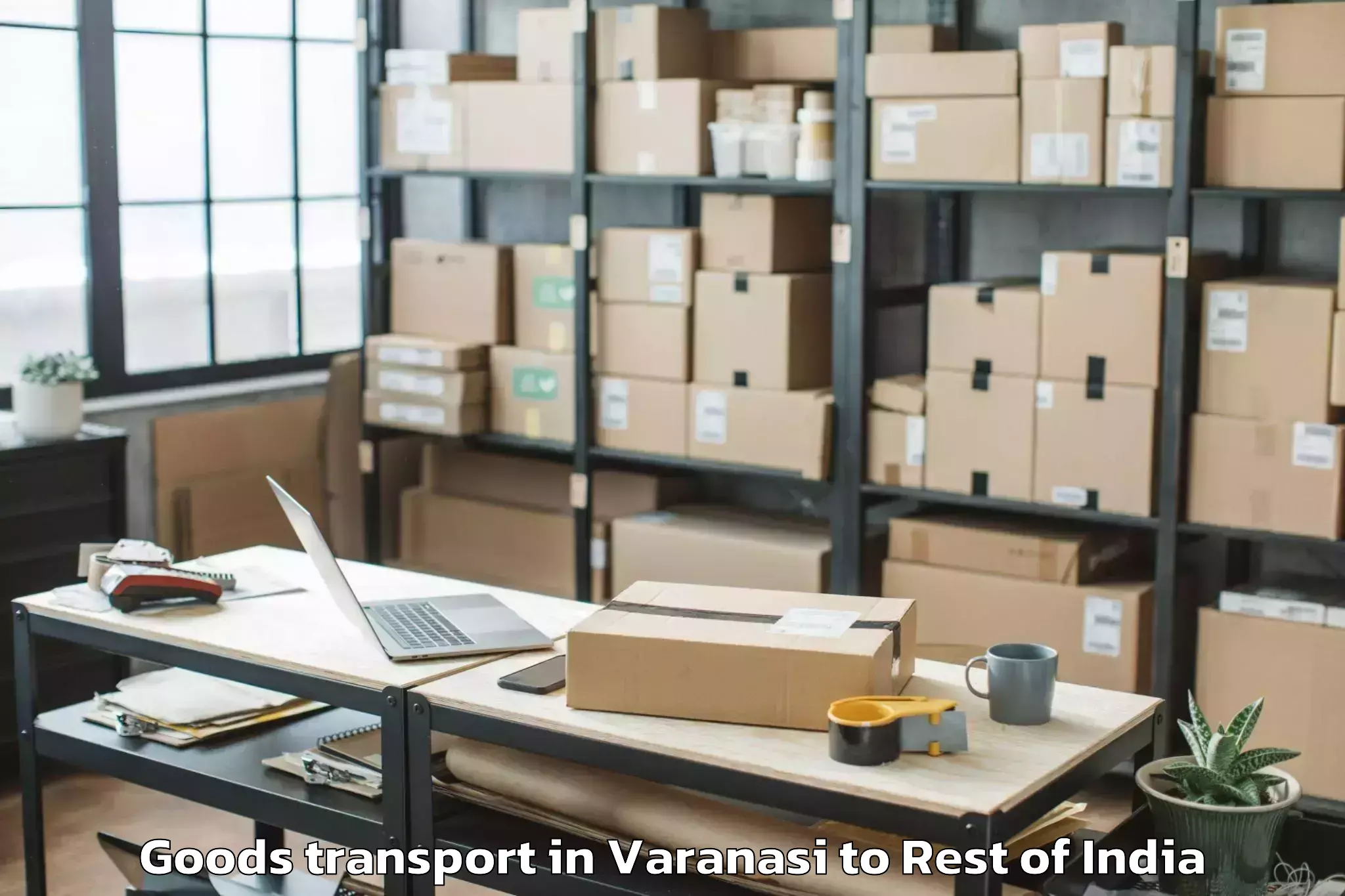 Quality Varanasi to Mandrayal Goods Transport